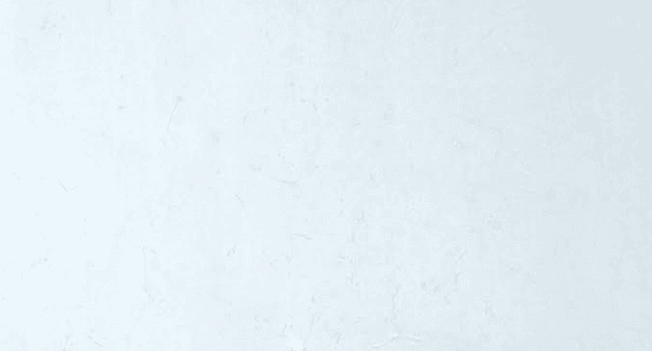 C2